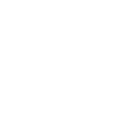 custom icon instagram